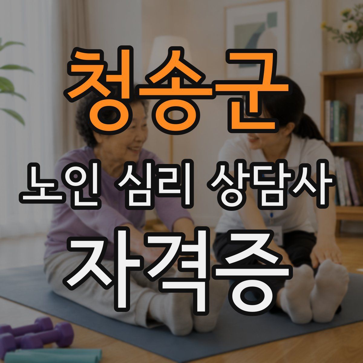 청송군 노인 심리 상담사 자격증