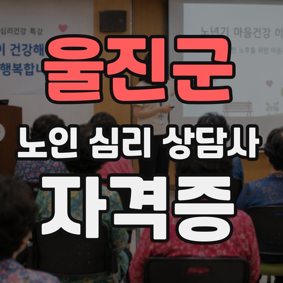 울진군 노인 심리 상담사 자격증