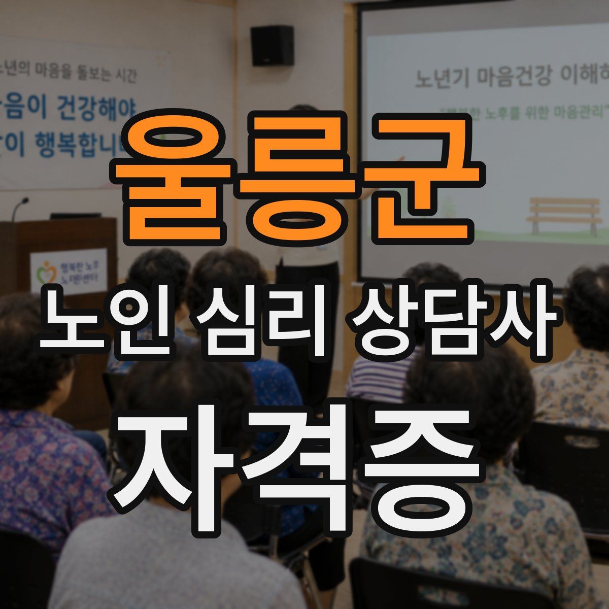 울릉군 노인 심리 상담사 자격증