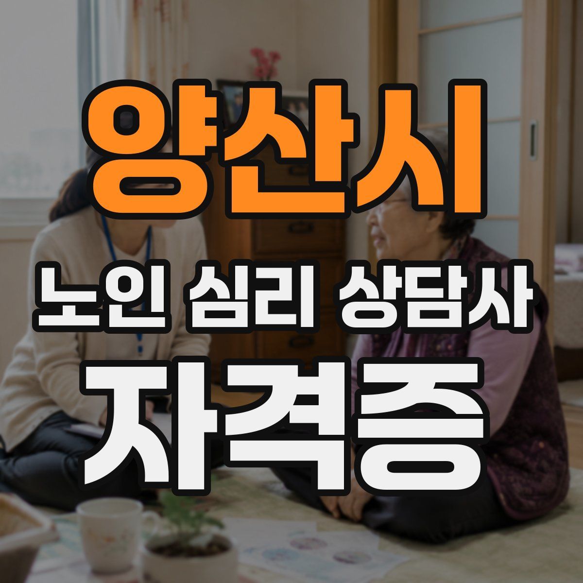 양산시 노인 심리 상담사 자격증