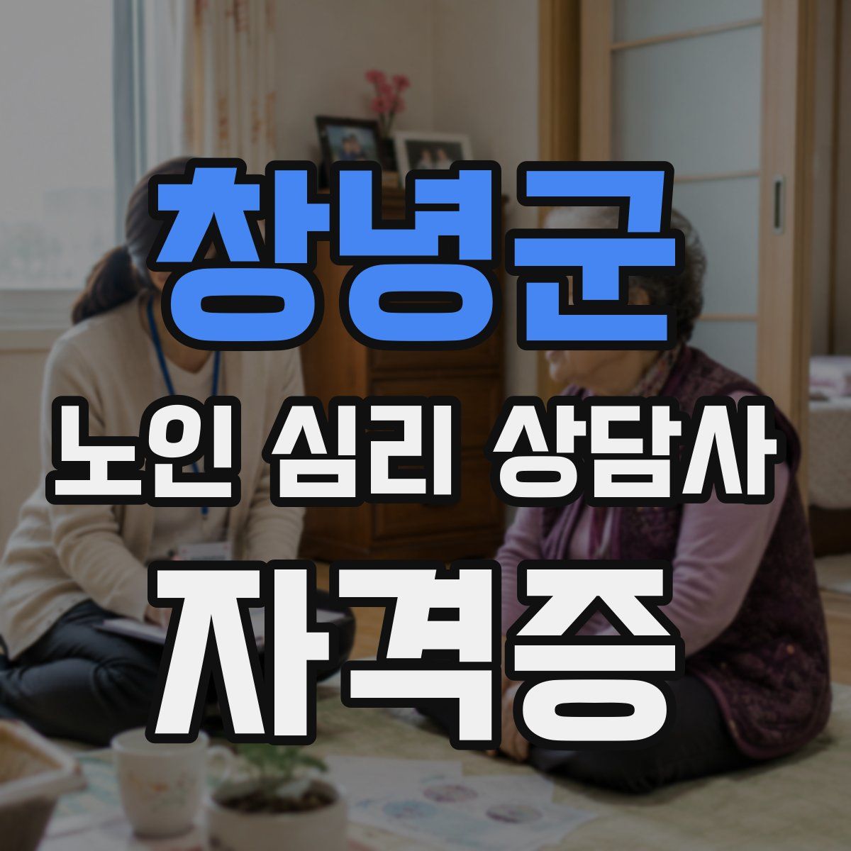 창녕군 노인 심리 상담사 자격증