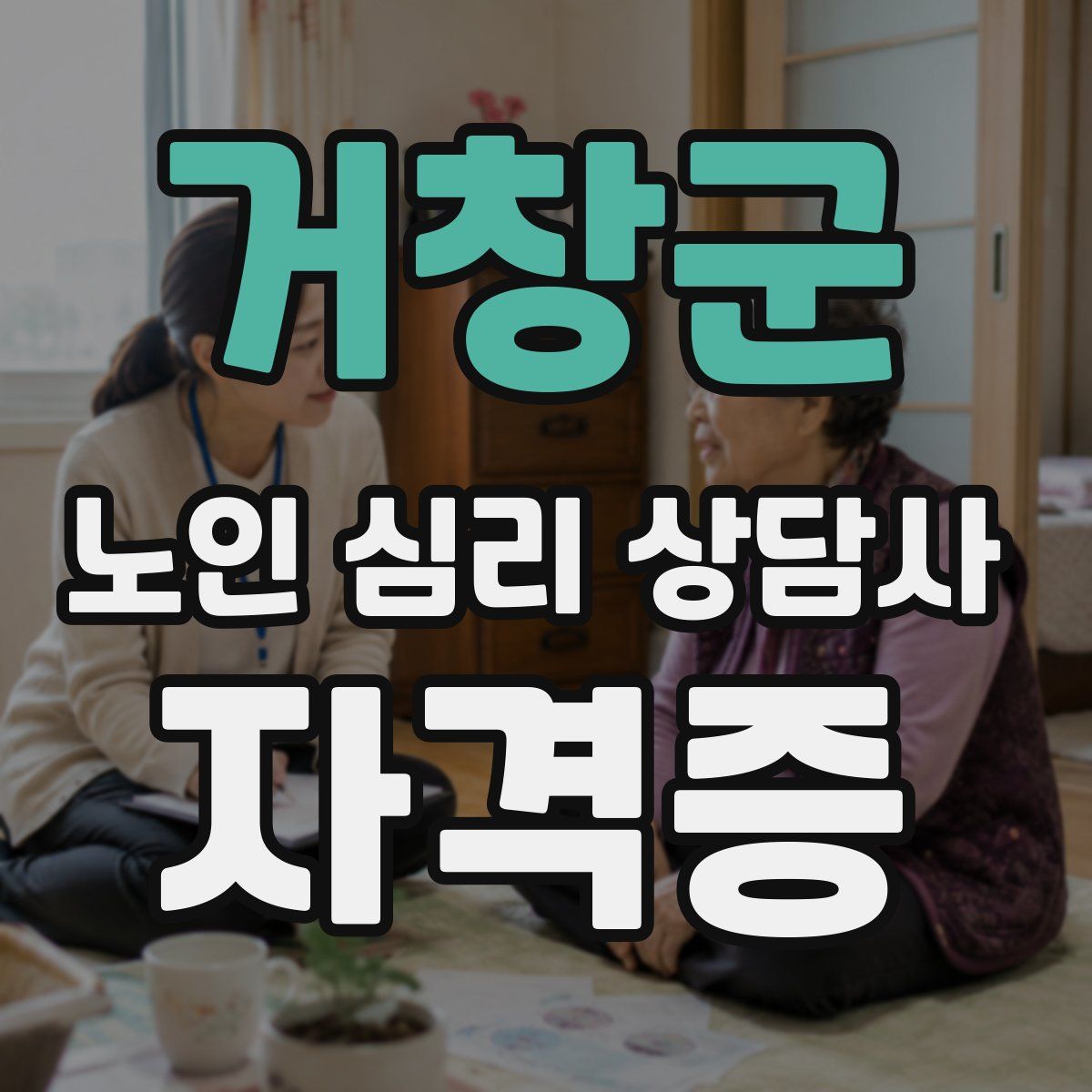 거창군 노인 심리 상담사 자격증