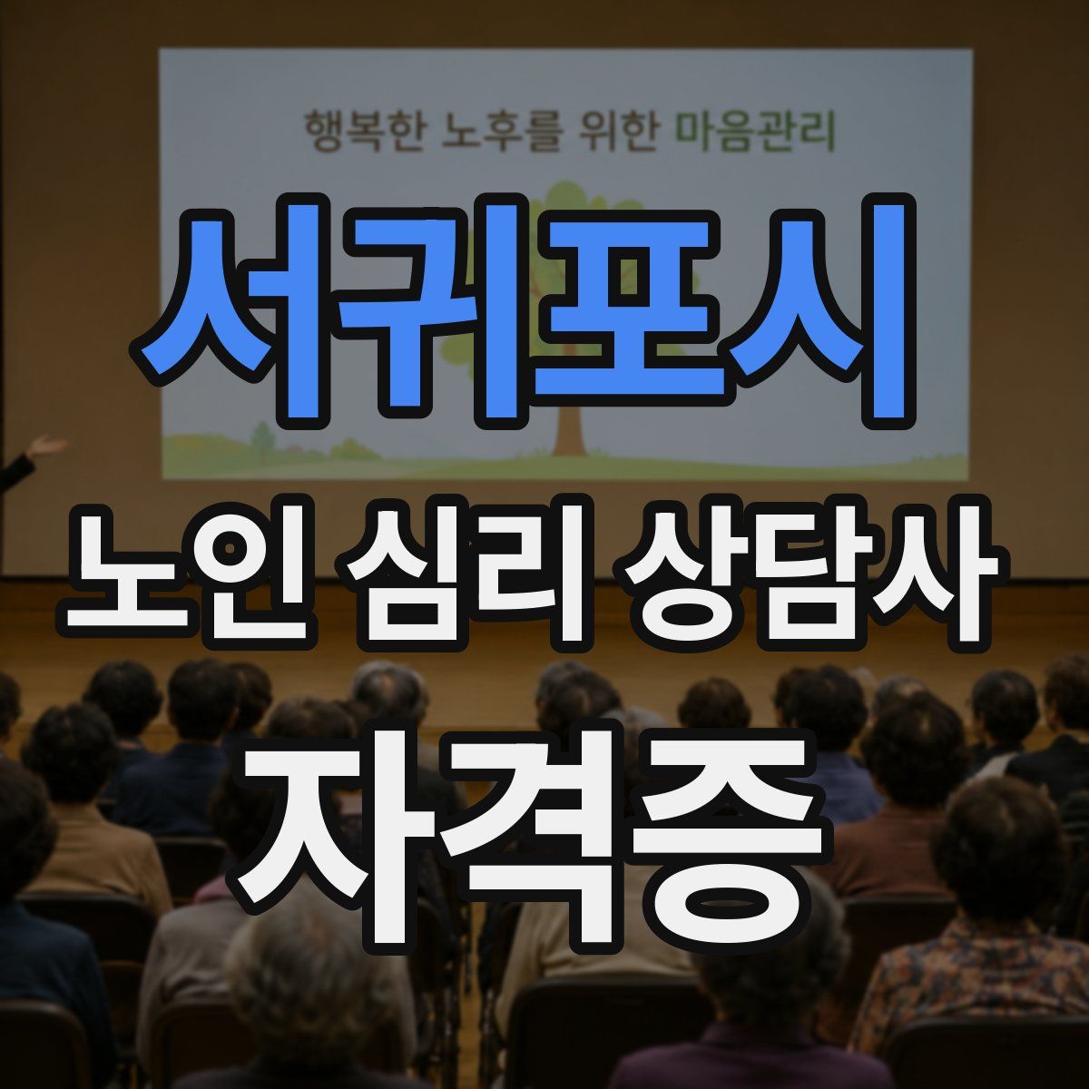 서귀포시 노인 심리 상담사 자격증