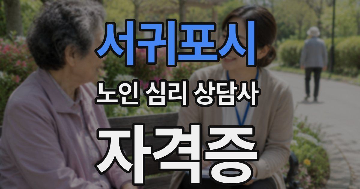 서귀포시 노인 심리 상담사 자격증