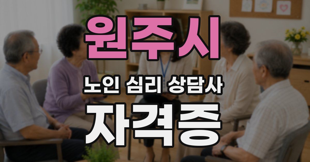 원주시 노인 심리 상담사 자격증