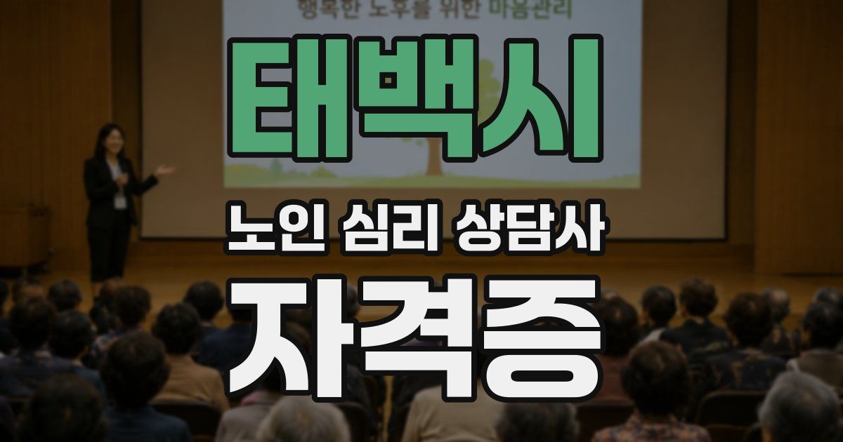 태백시 노인 심리 상담사 자격증