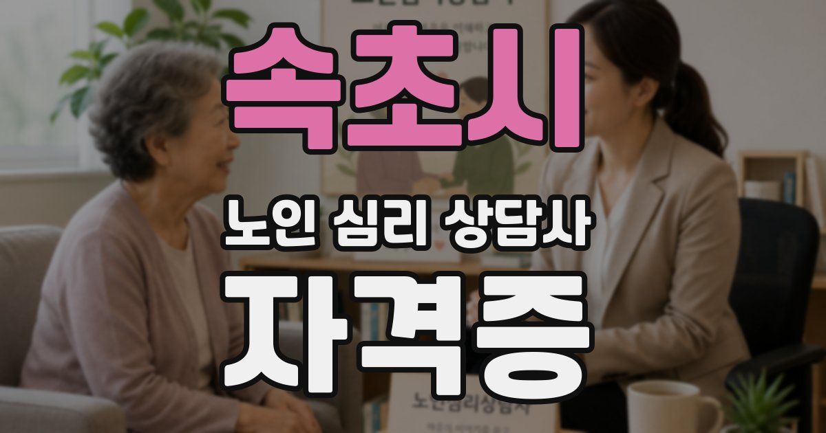 속초시 노인 심리 상담사 자격증