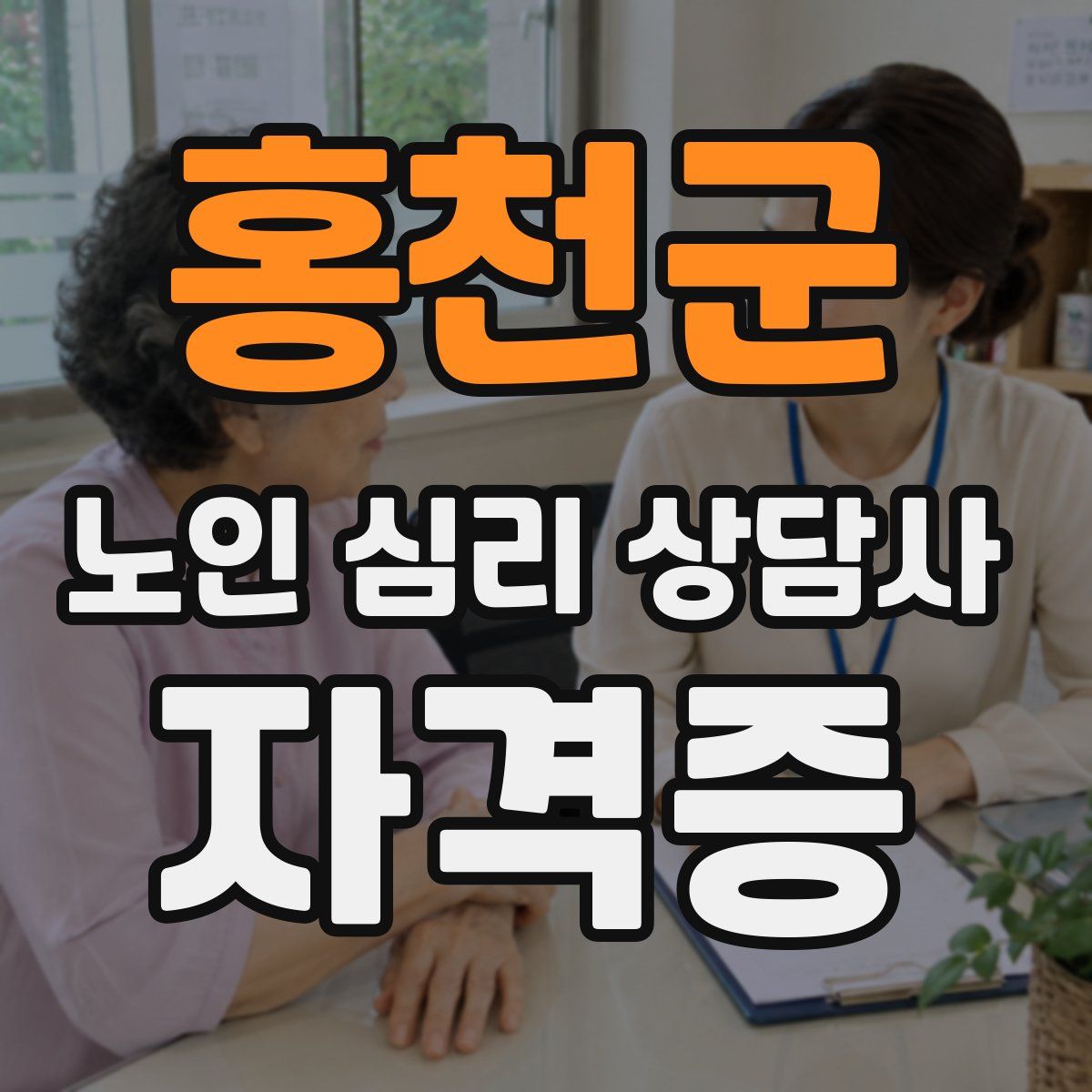 홍천군 노인 심리 상담사 자격증