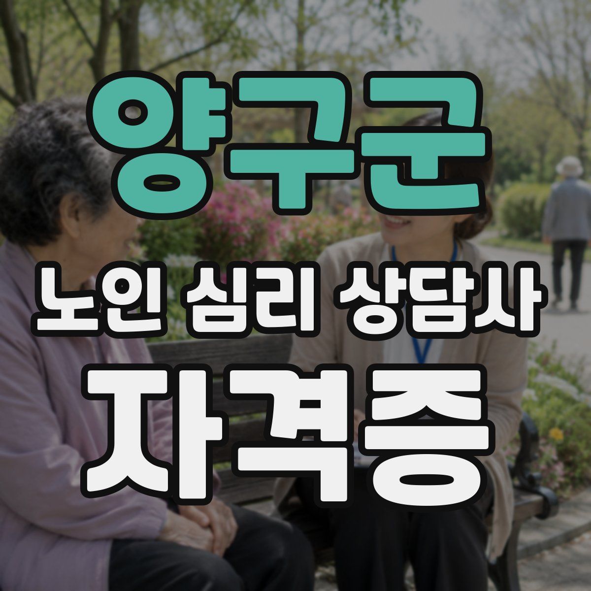 양구군 노인 심리 상담사 자격증