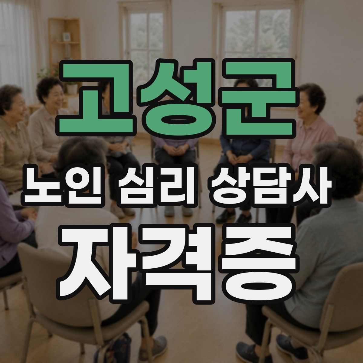 고성군 노인 심리 상담사 자격증
