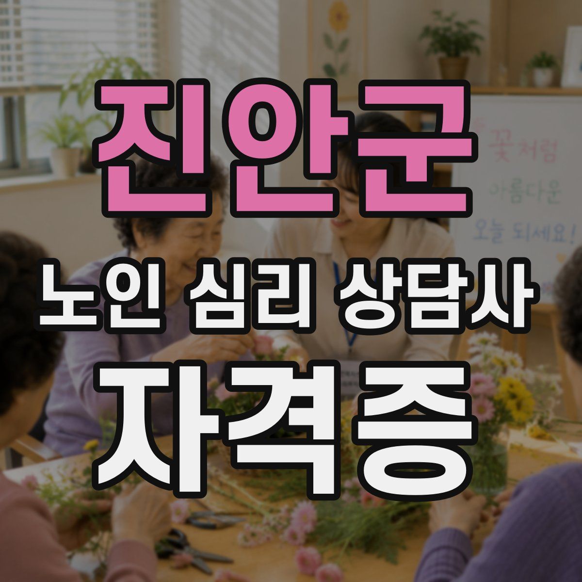 진안군 노인 심리 상담사 자격증