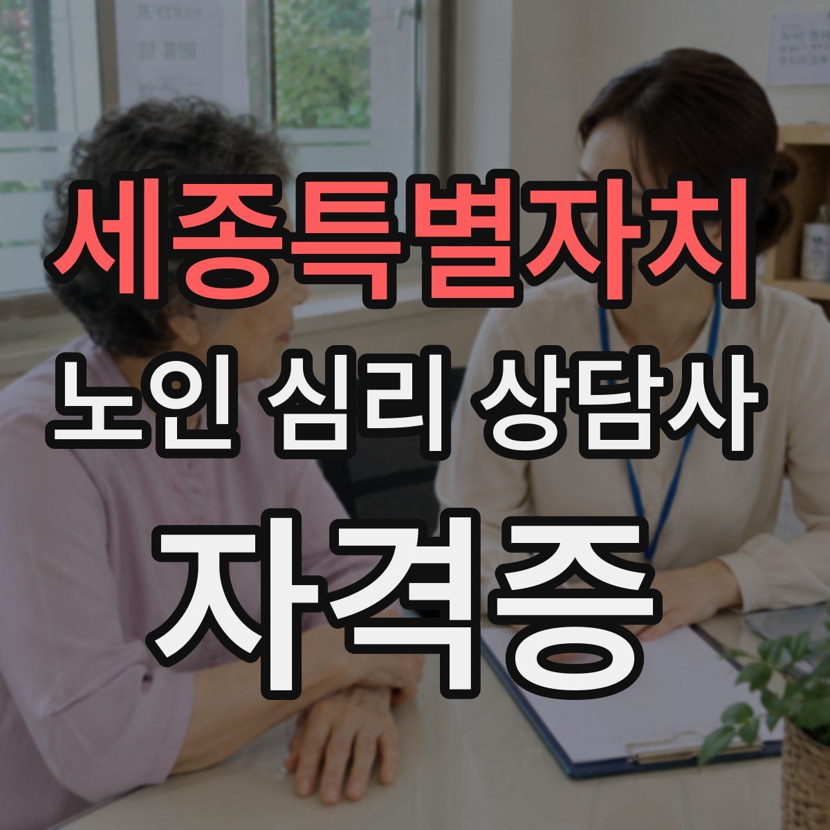 세종특별자치 노인 심리 상담사 자격증