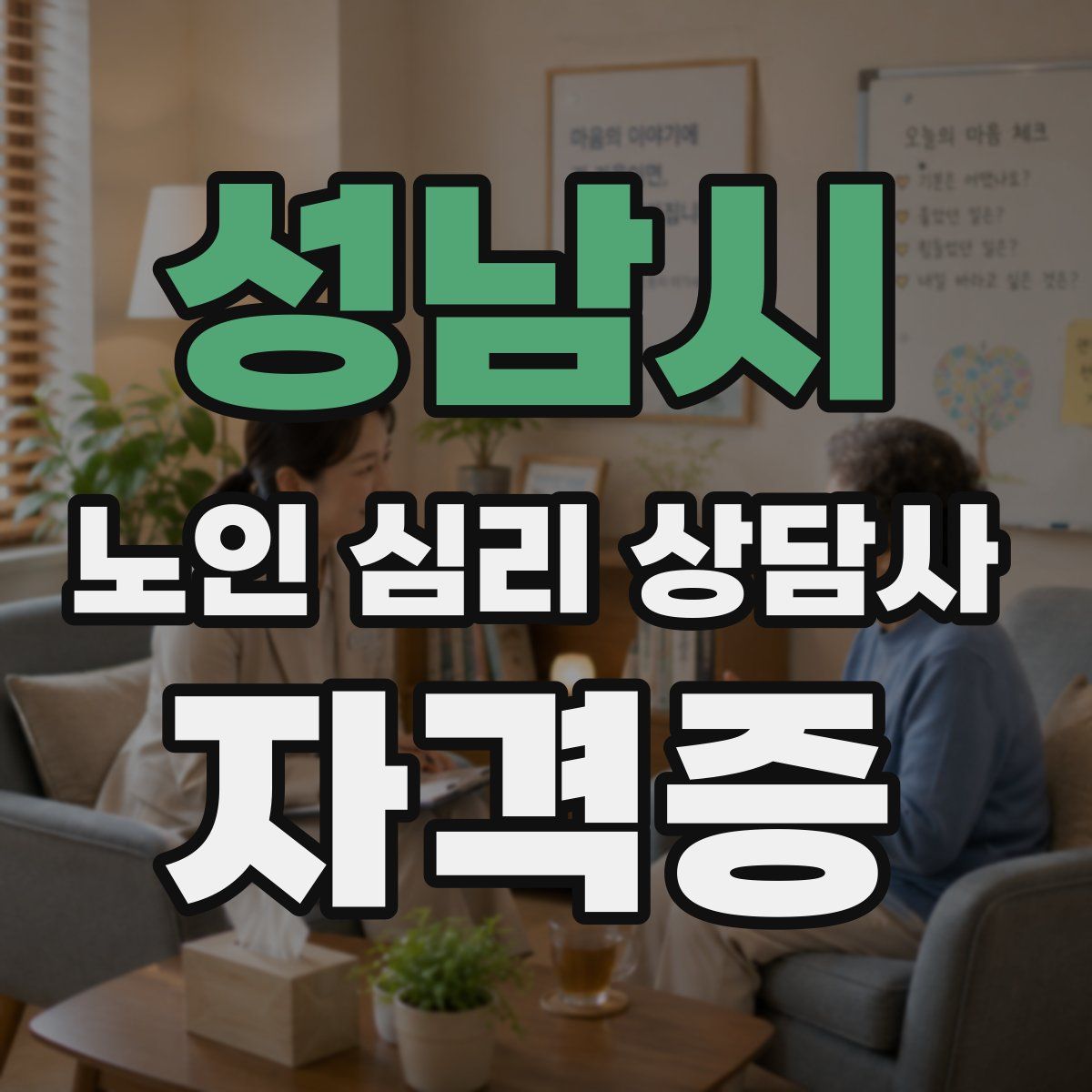 성남시 노인 심리 상담사 자격증