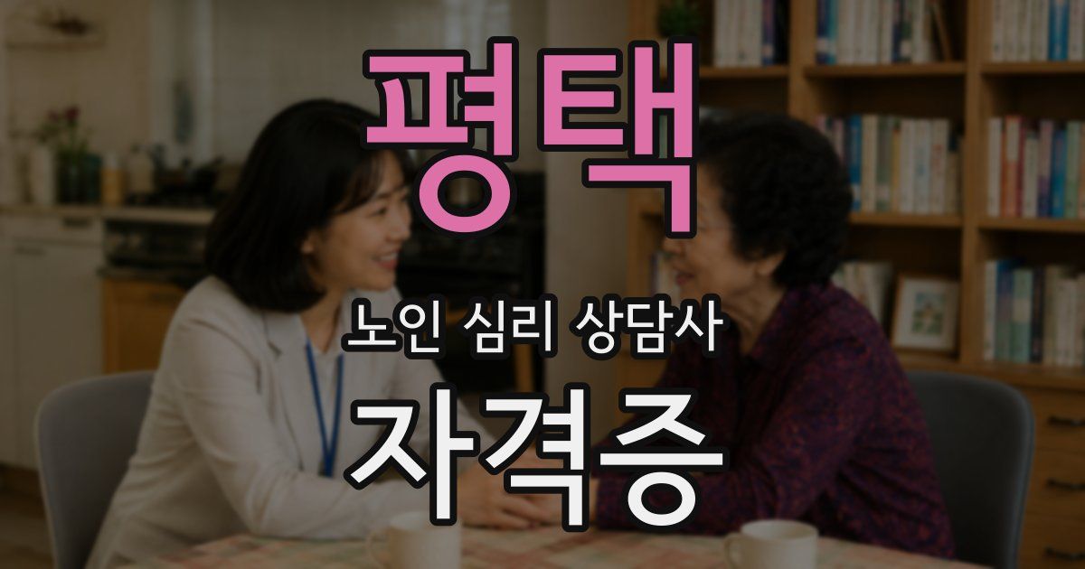 평택 노인 심리 상담사 자격증