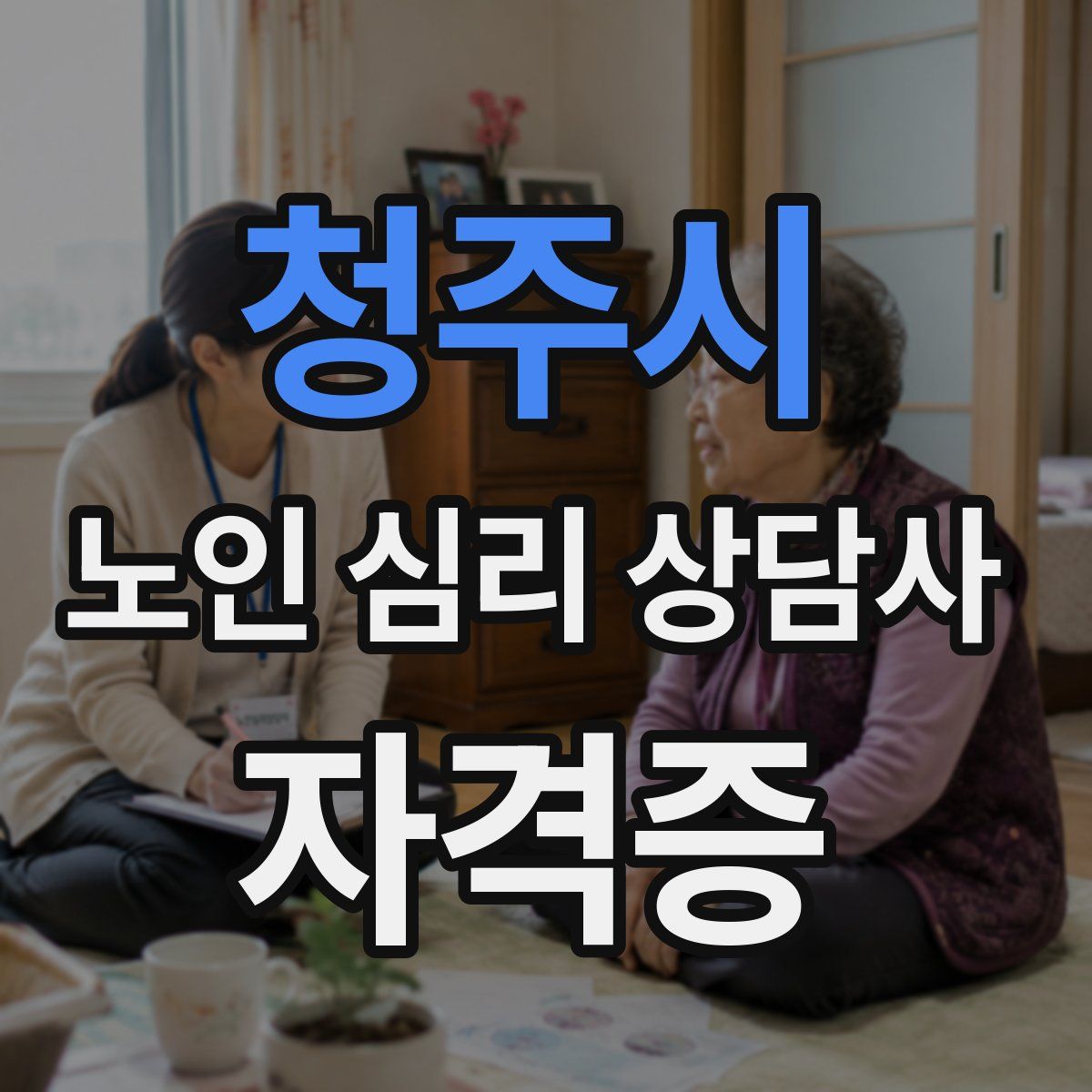 청주시 노인 심리 상담사 자격증