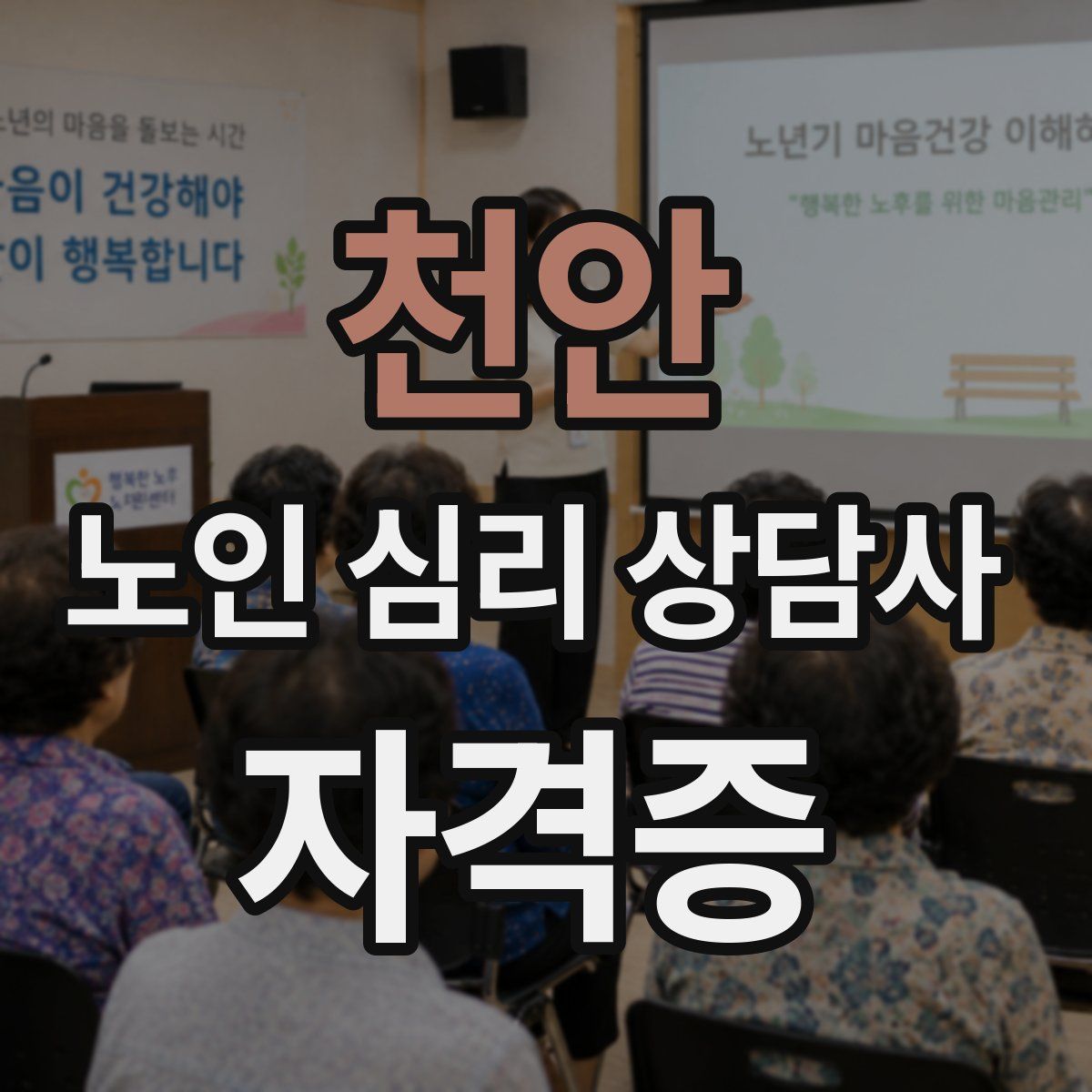천안 노인 심리 상담사 자격증