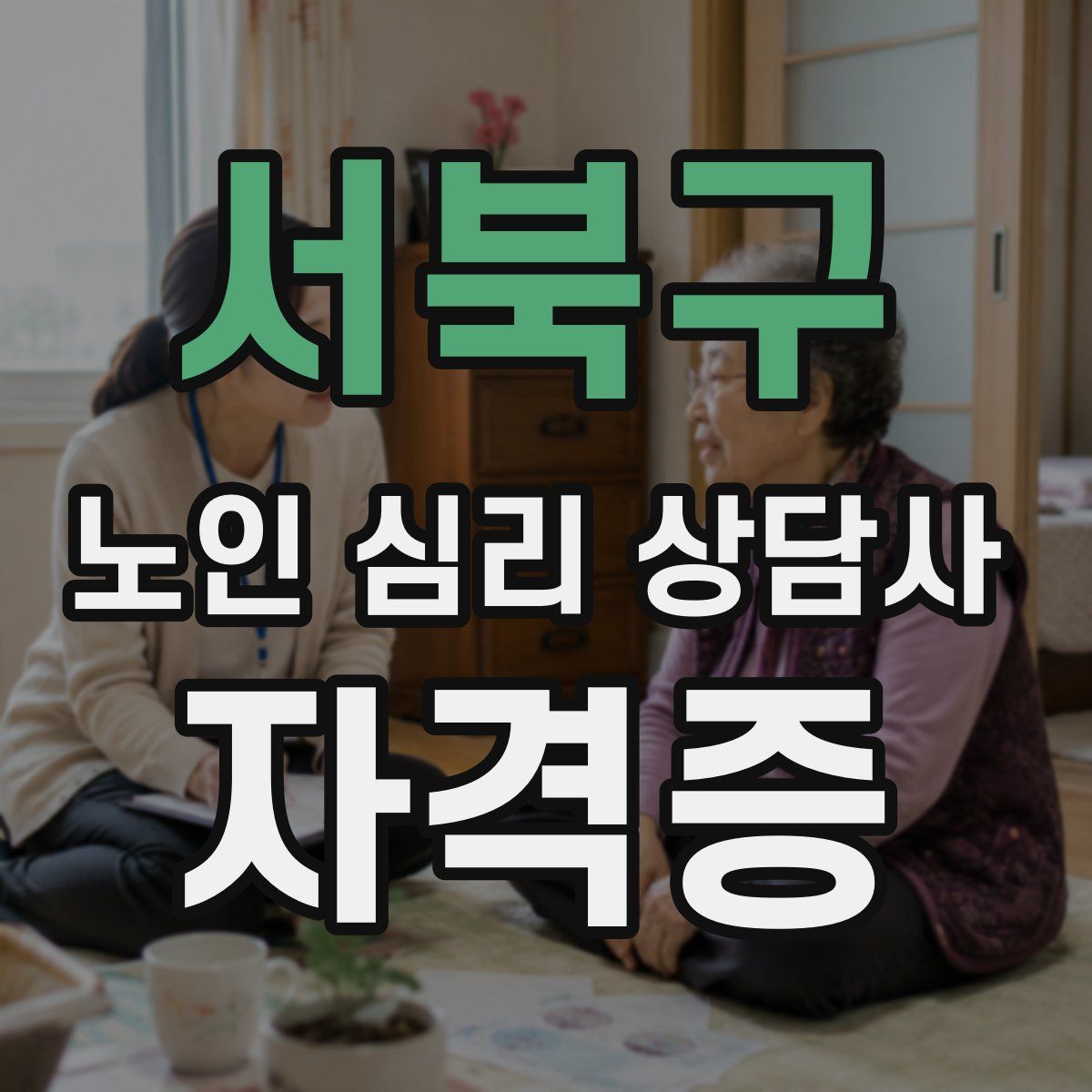 서북구 노인 심리 상담사 자격증