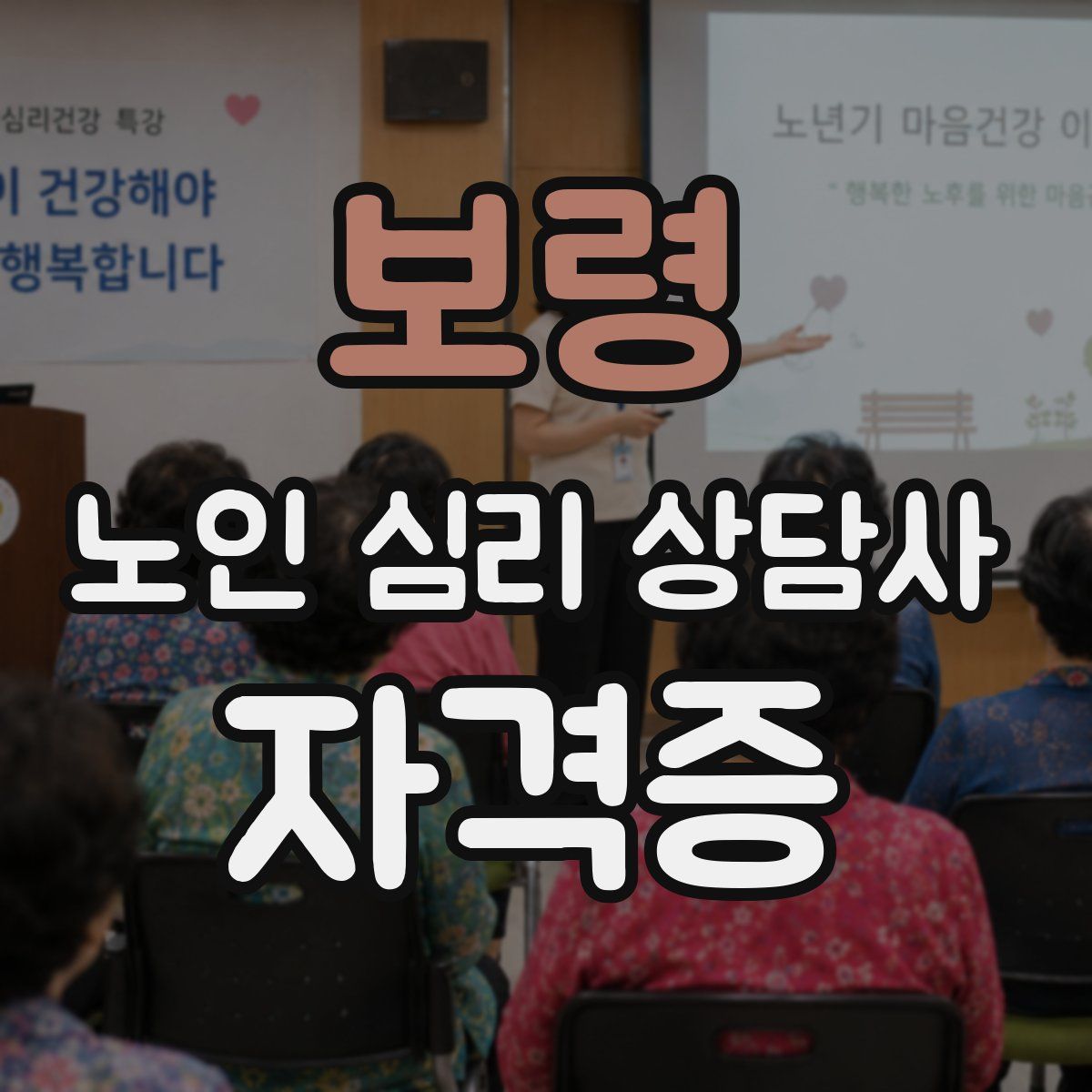 보령 노인 심리 상담사 자격증