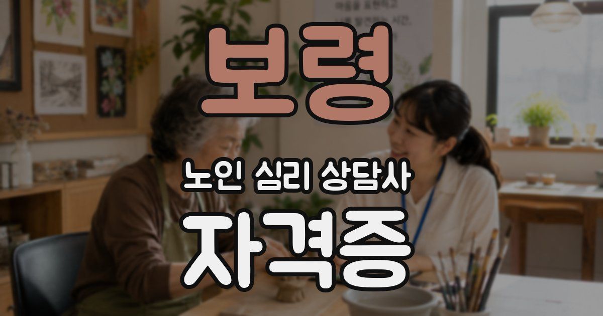 보령 노인 심리 상담사 자격증