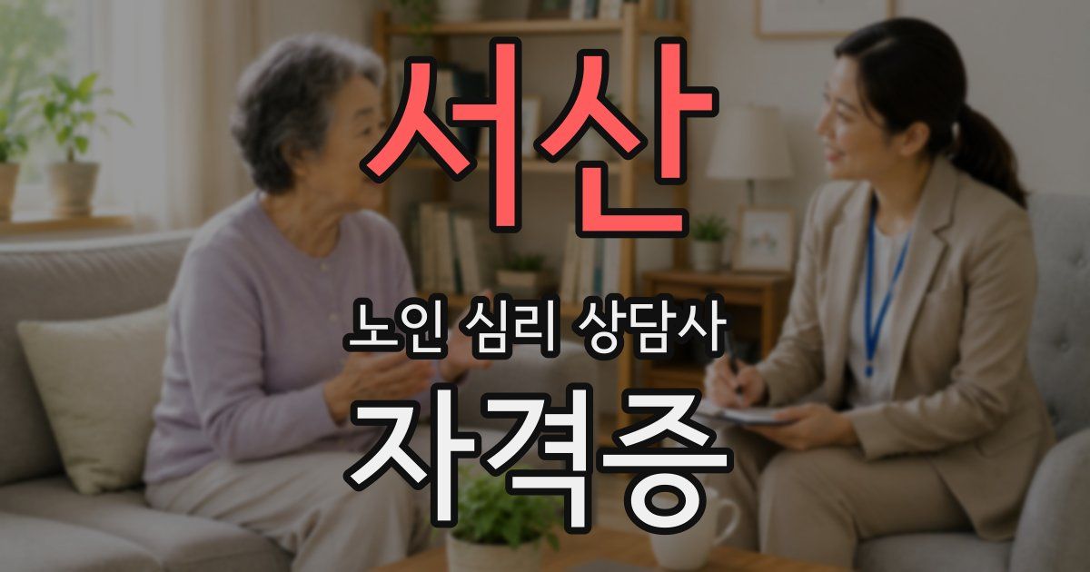 서산 노인 심리 상담사 자격증