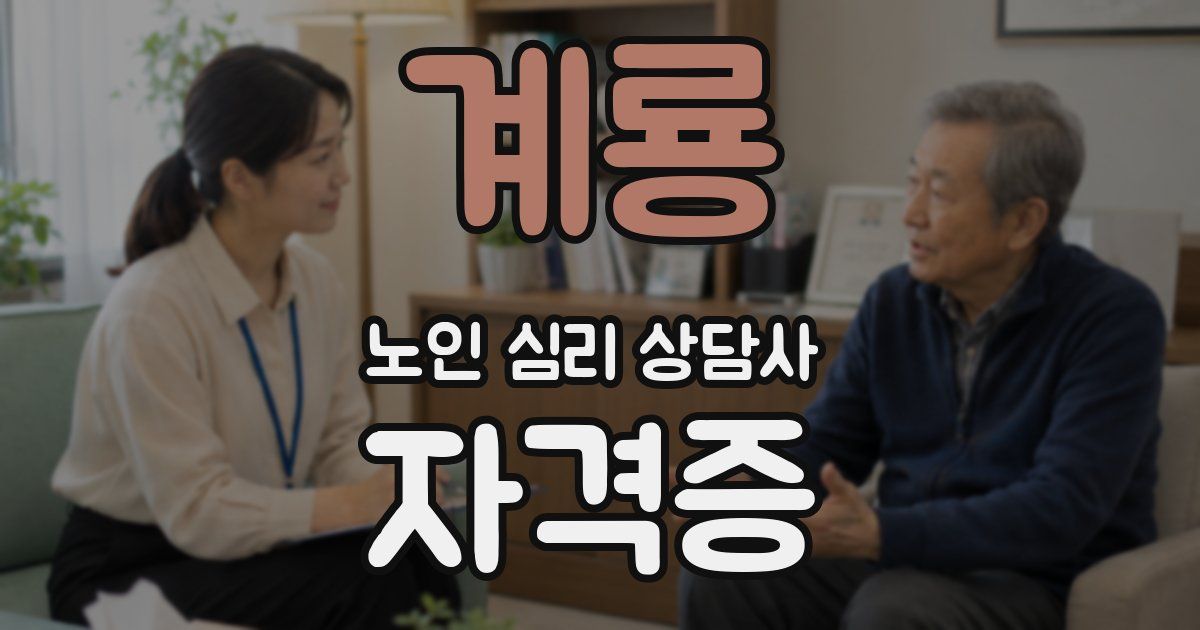 계룡 노인 심리 상담사 자격증
