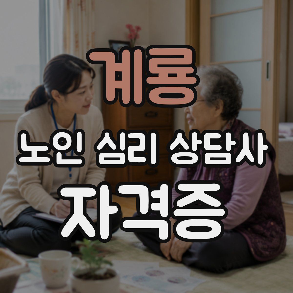 계룡 노인 심리 상담사 자격증