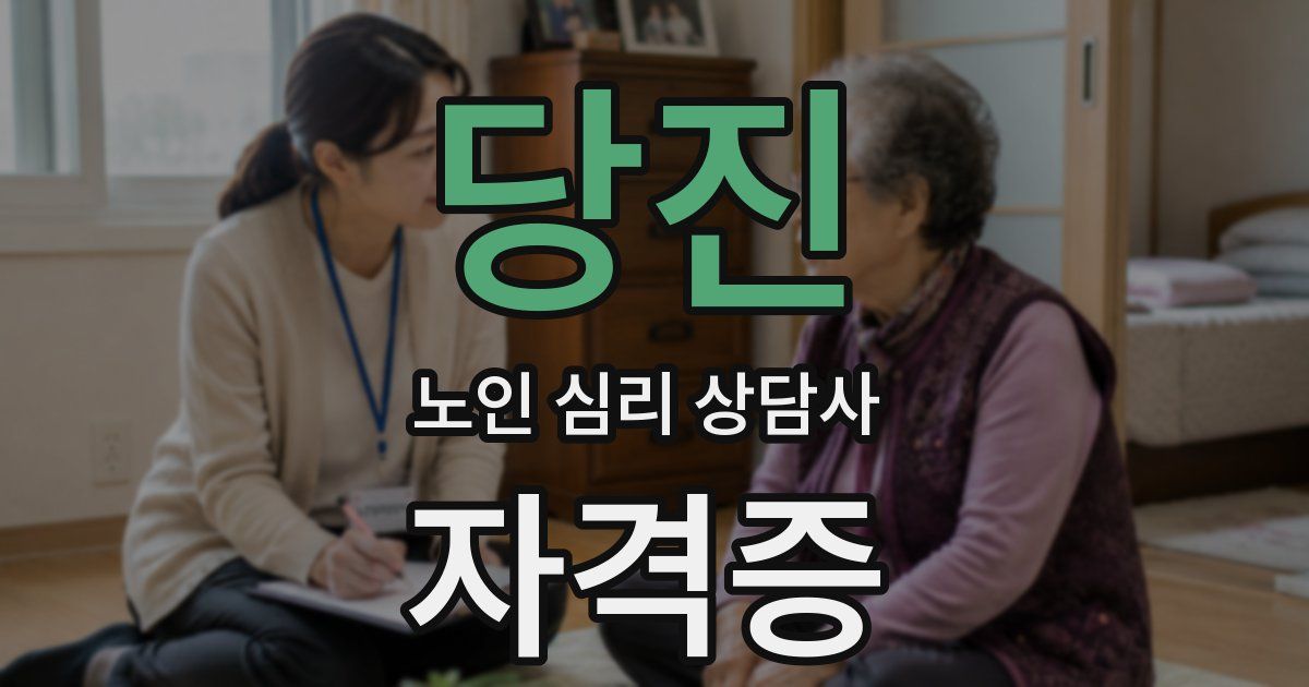 당진 노인 심리 상담사 자격증