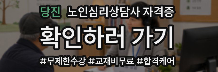 당진 노인 심리 상담사 자격증