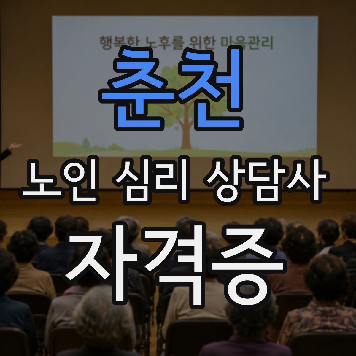 춘천 노인 심리 상담사 자격증