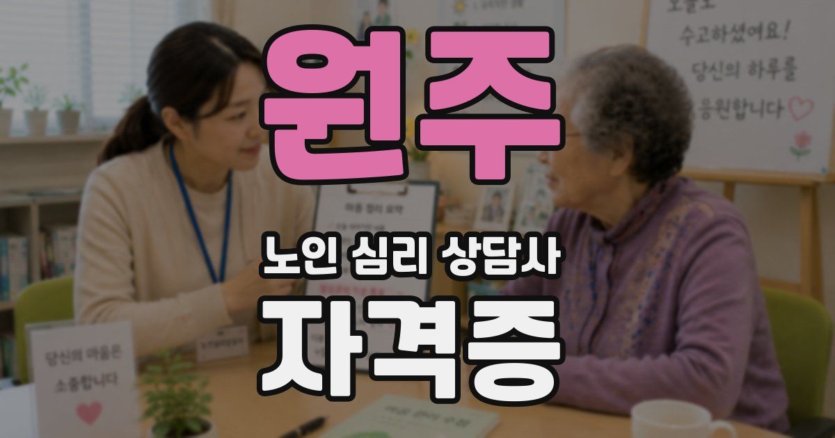 원주 노인 심리 상담사 자격증