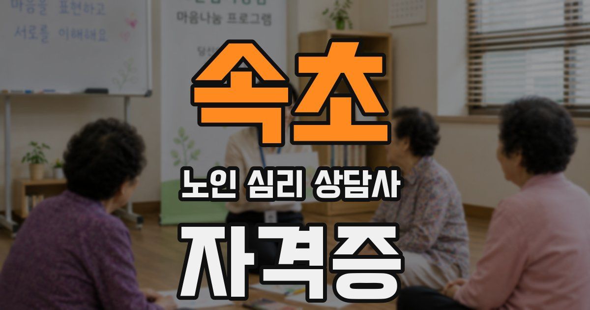 속초 노인 심리 상담사 자격증