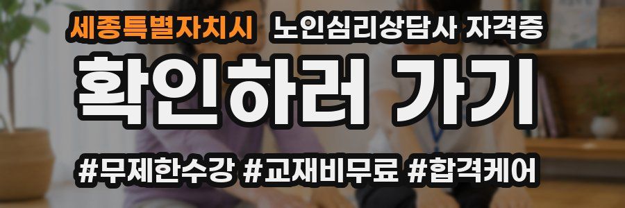세종특별자치시 노인 심리 상담사 자격증