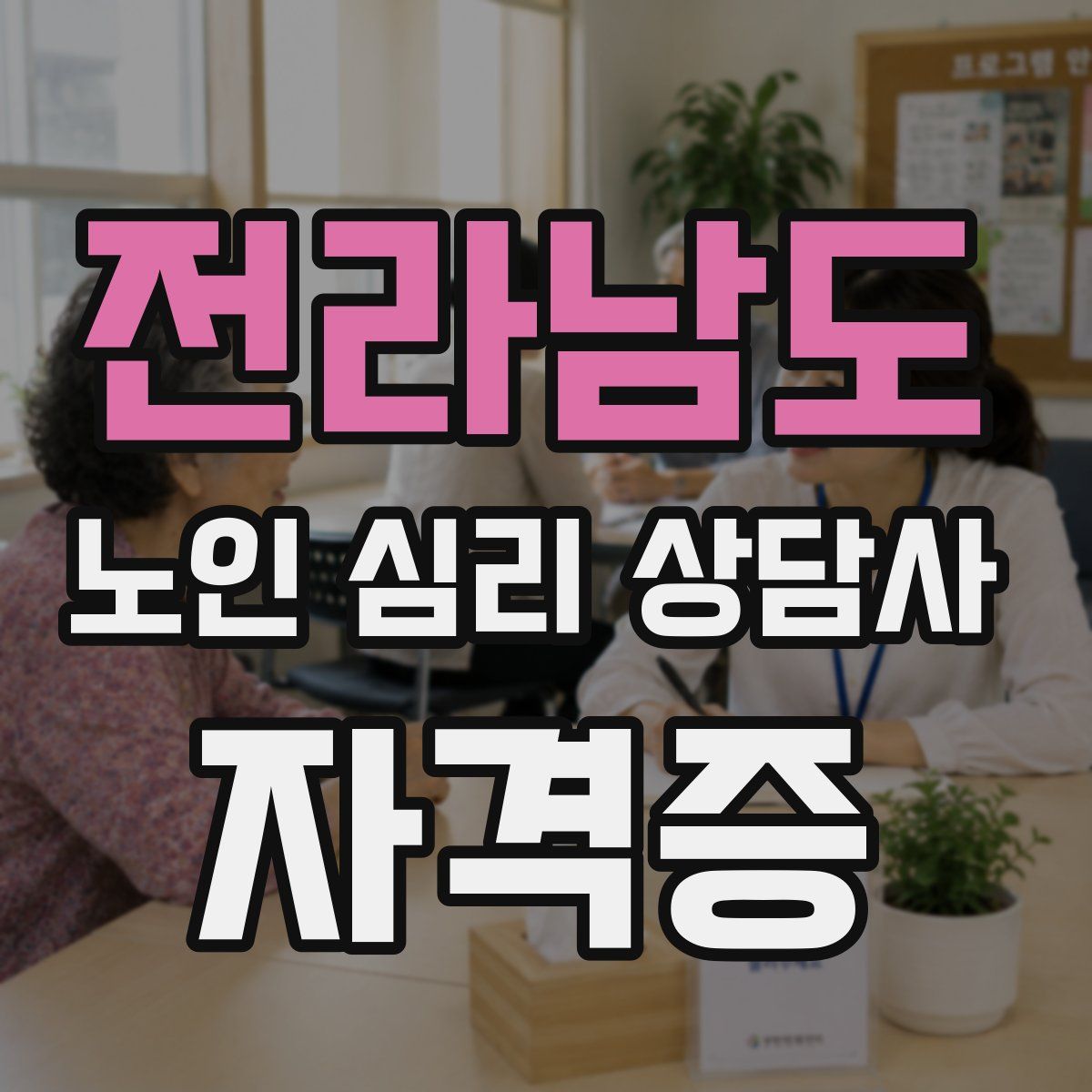 전라남도 노인 심리 상담사 자격증