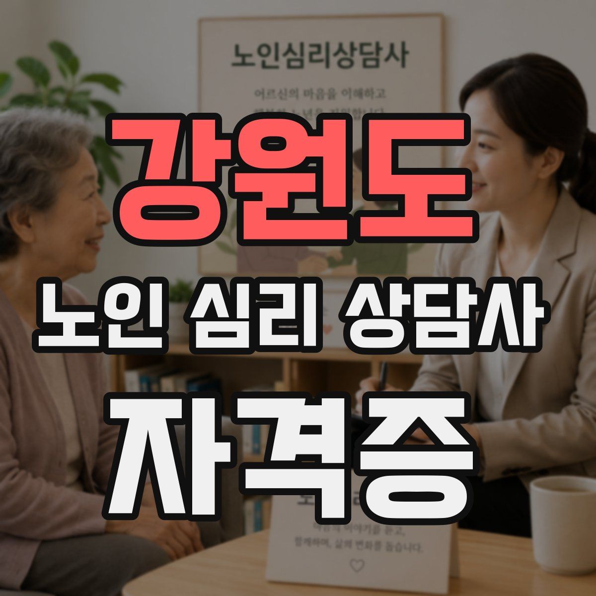 강원도 노인 심리 상담사 자격증