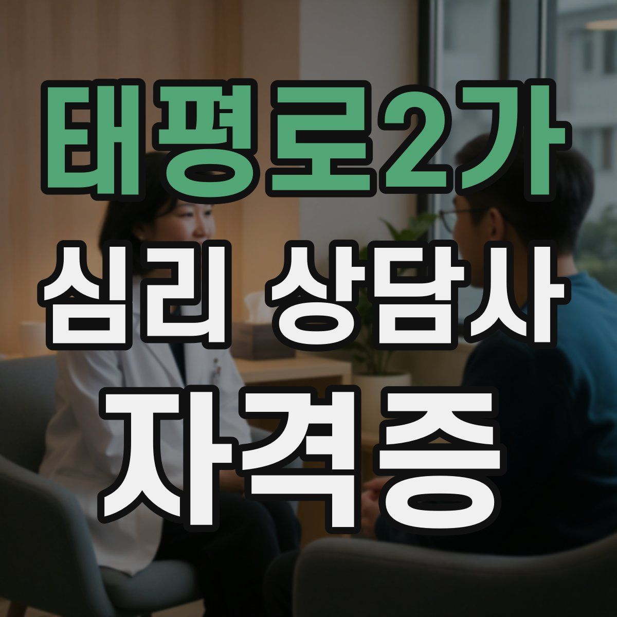 태평로2가 심리 상담사 자격증