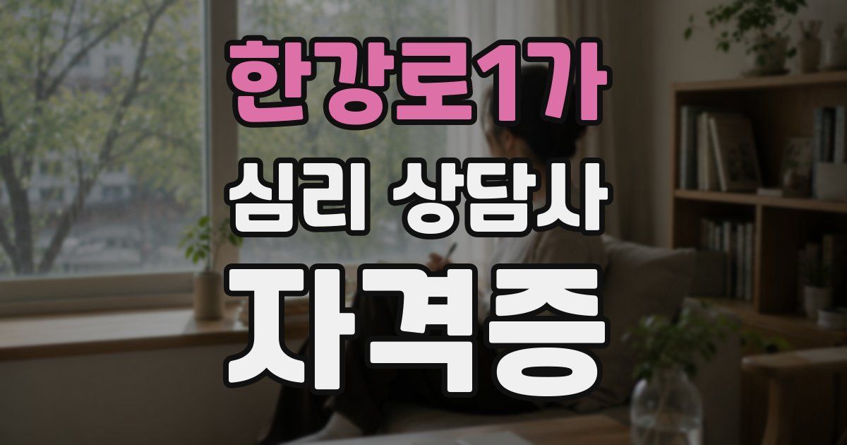 한강로1가 심리 상담사 자격증