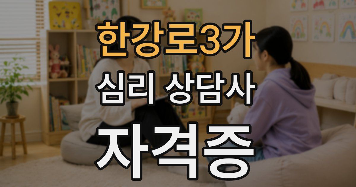한강로3가 심리 상담사 자격증