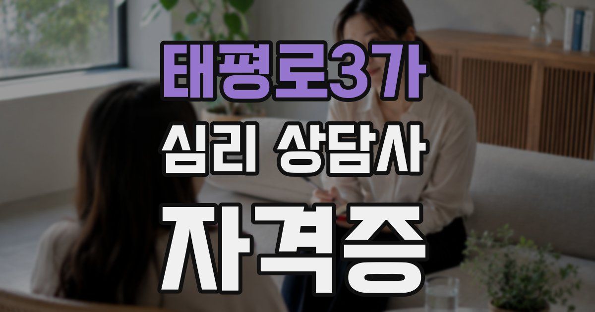 태평로3가 심리 상담사 자격증