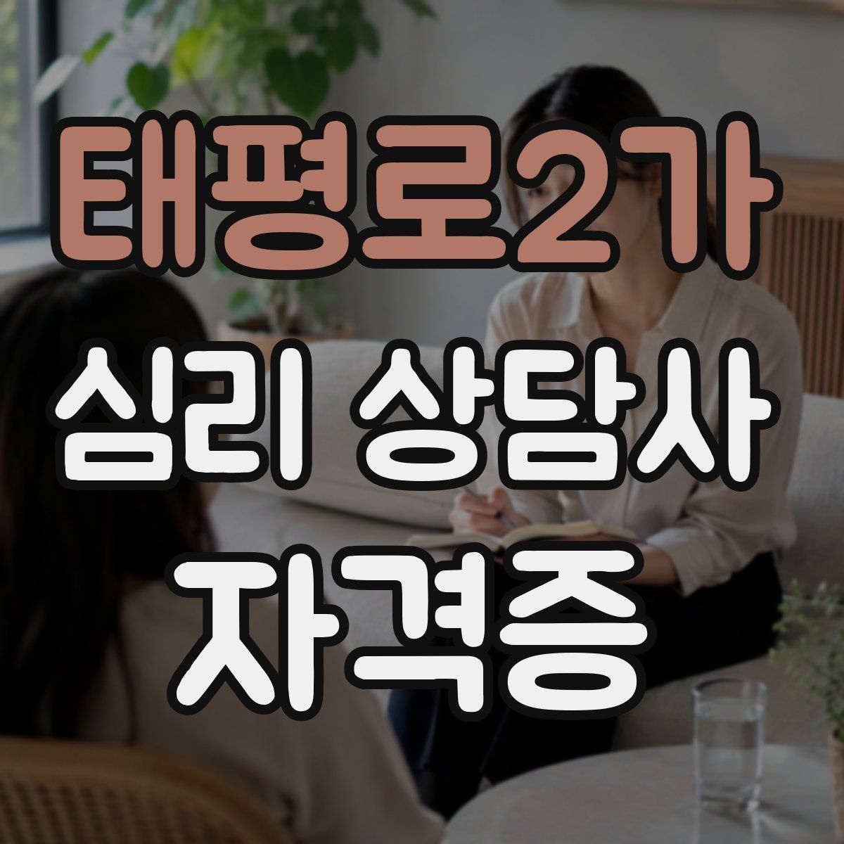 태평로2가 심리 상담사 자격증