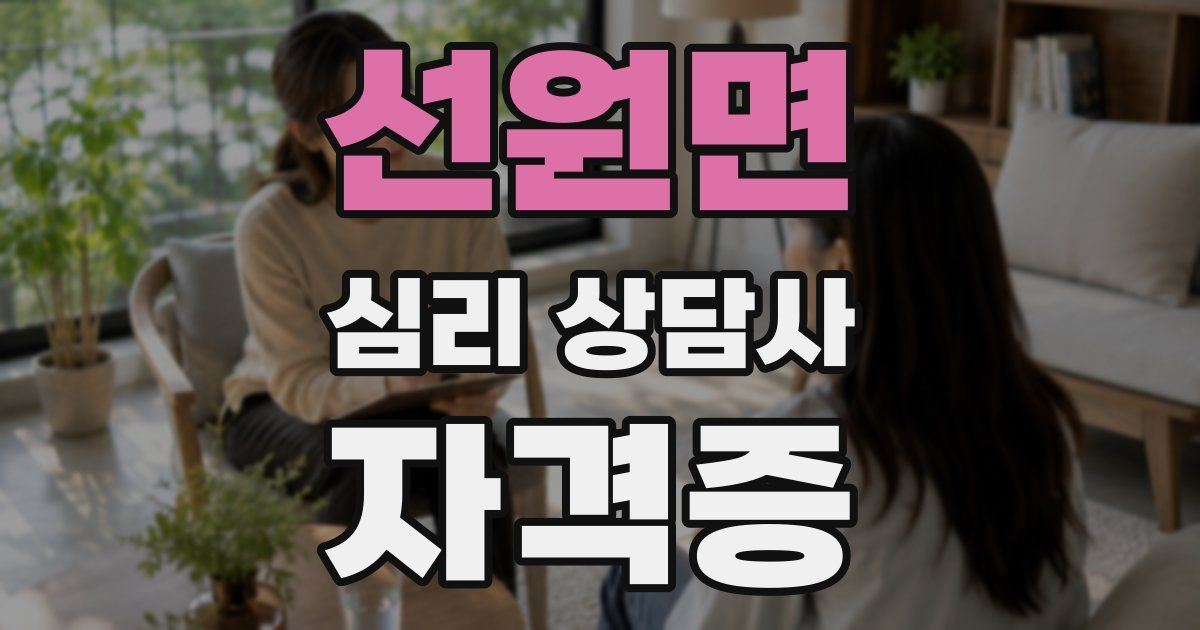 선원면 심리 상담사 자격증