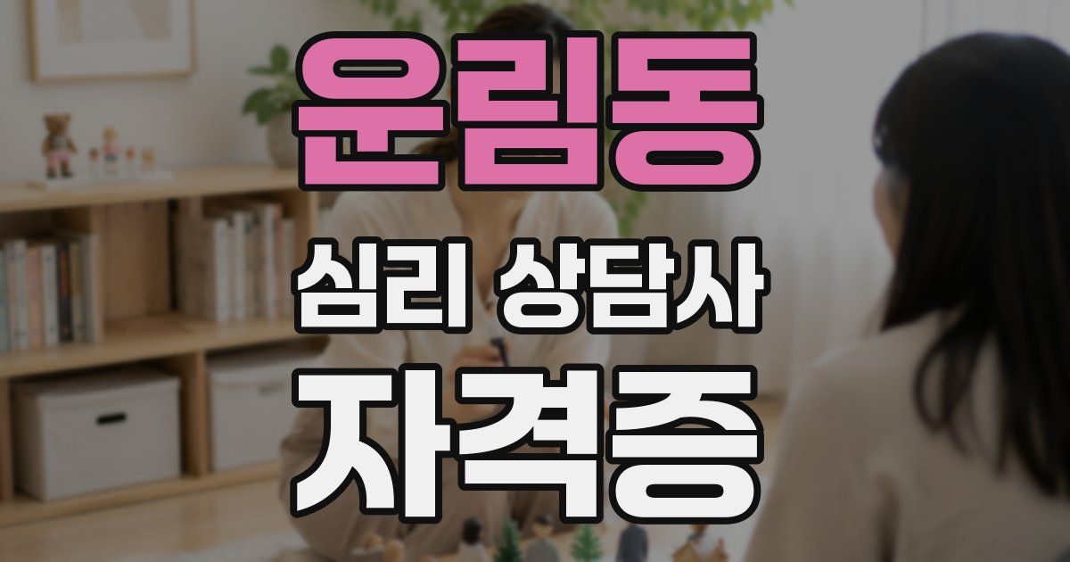 운림동 심리 상담사 자격증
