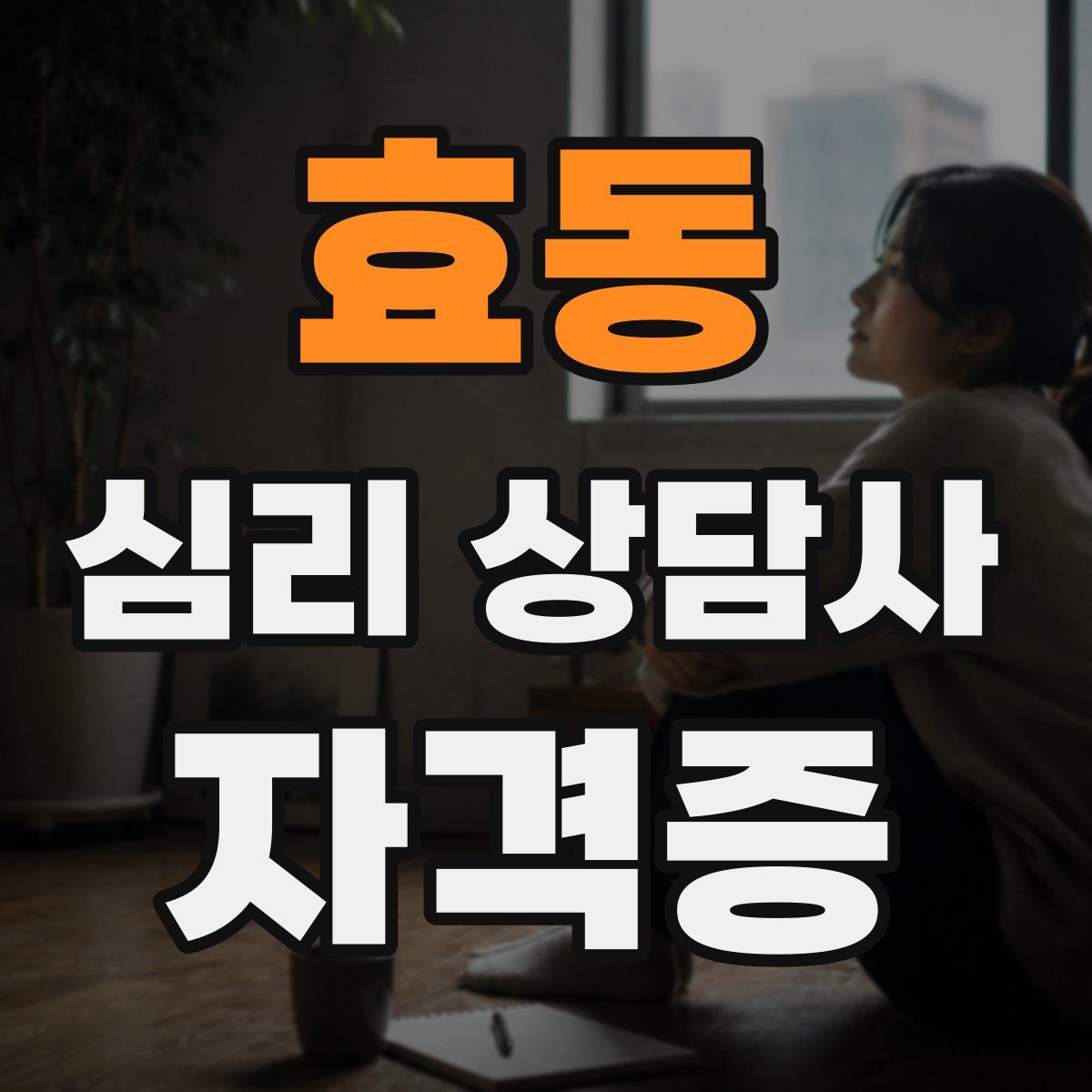 효동 심리 상담사 자격증