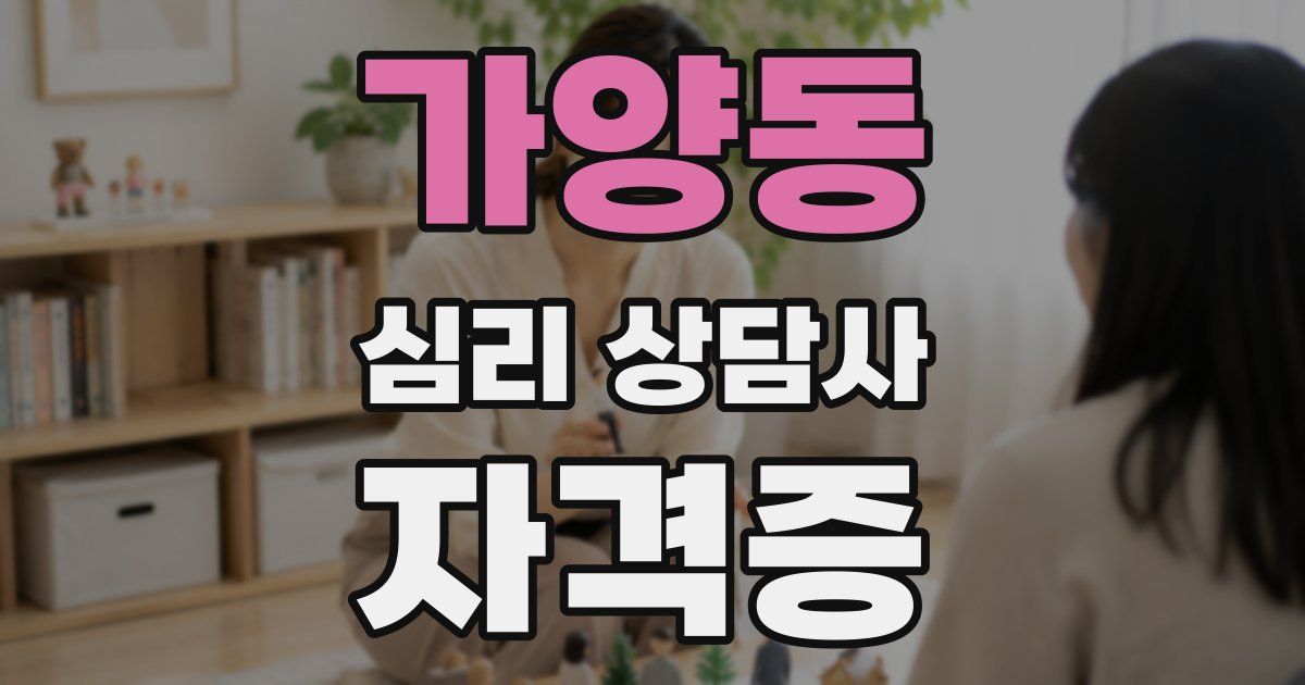 가양동 심리 상담사 자격증
