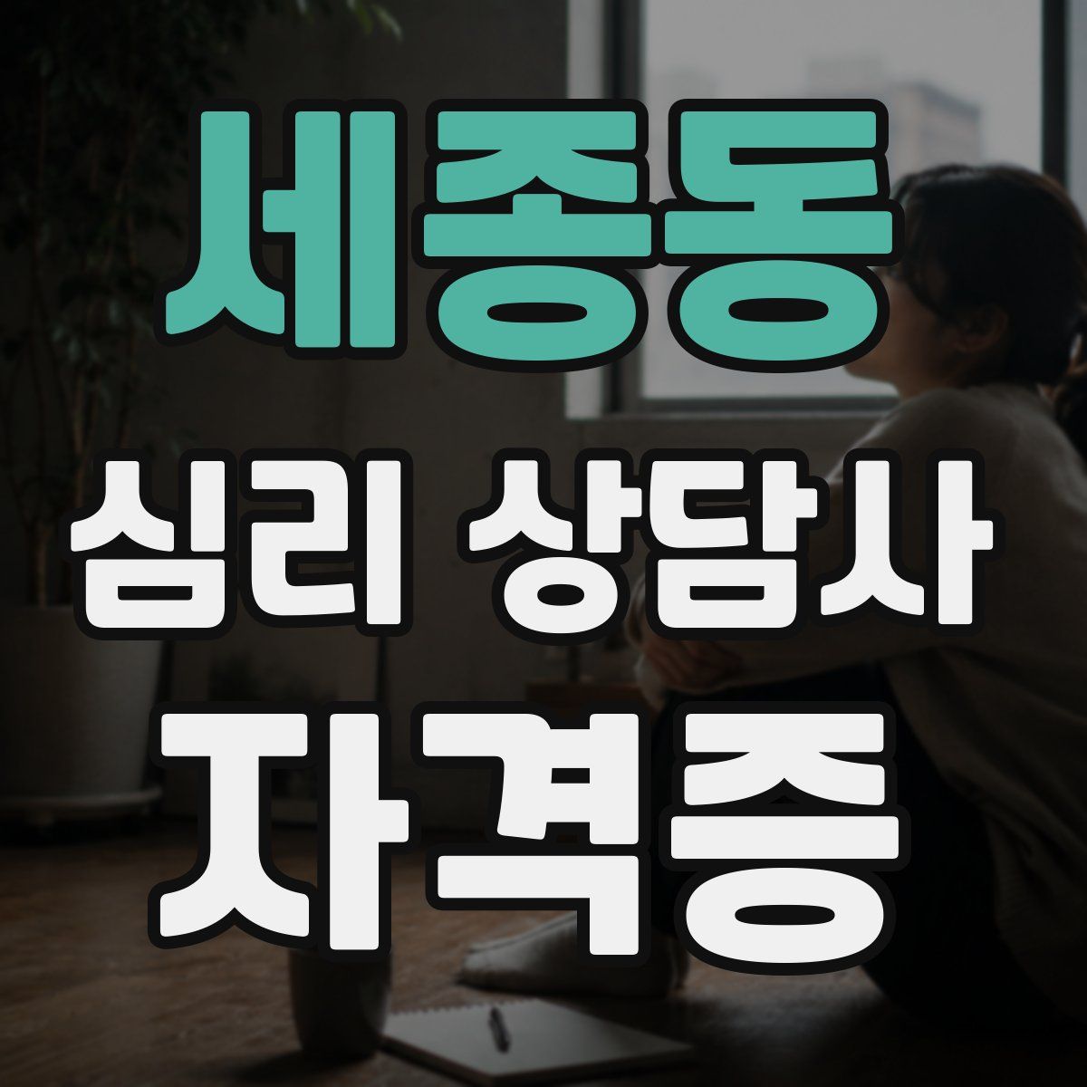 세종동 심리 상담사 자격증