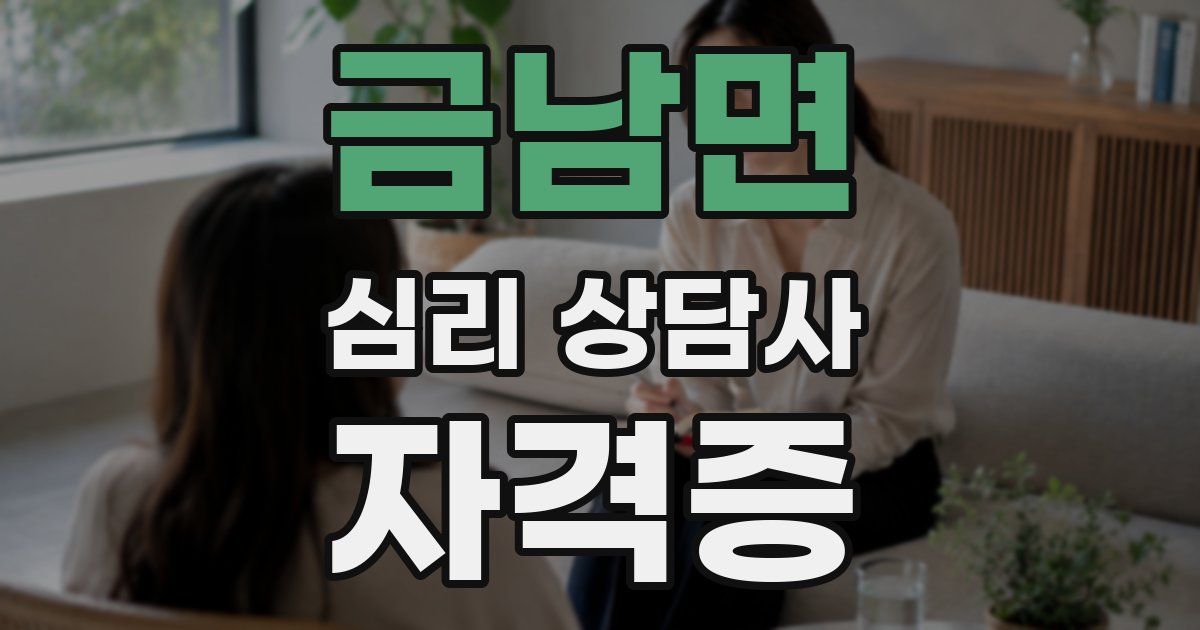 금남면 심리 상담사 자격증