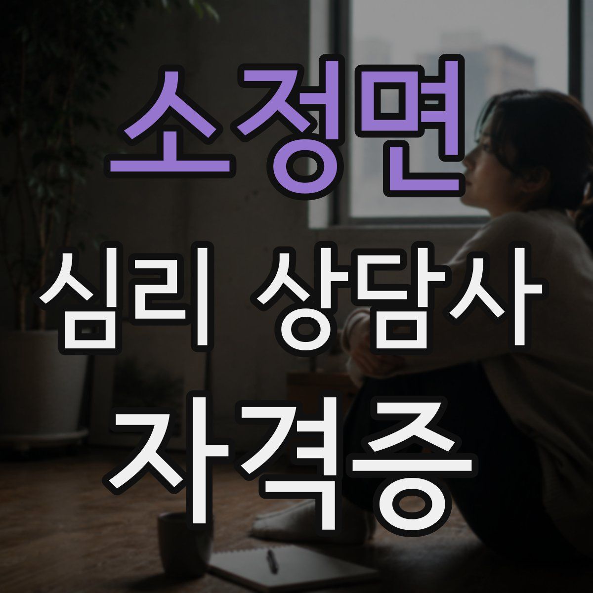소정면 심리 상담사 자격증