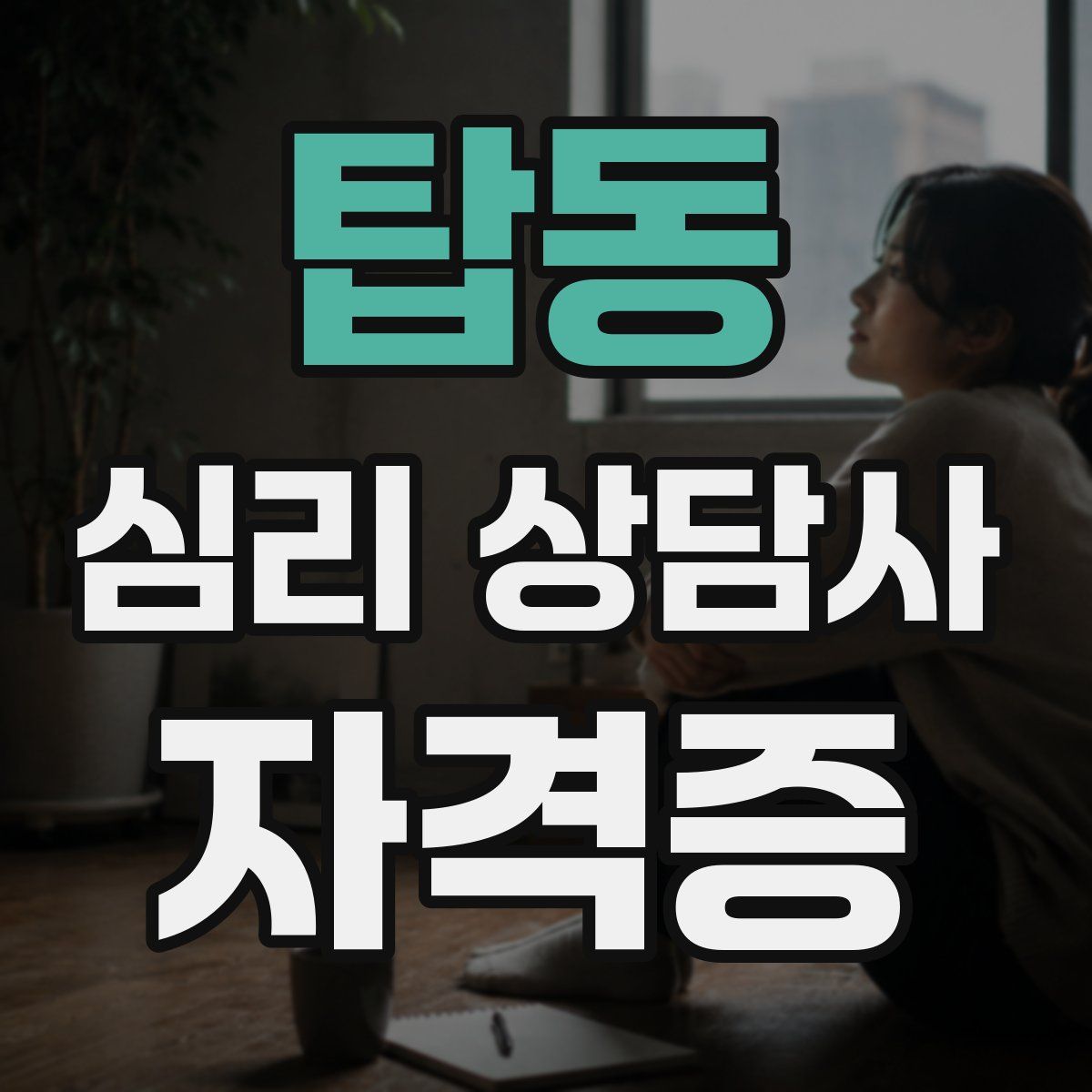 탑동 심리 상담사 자격증