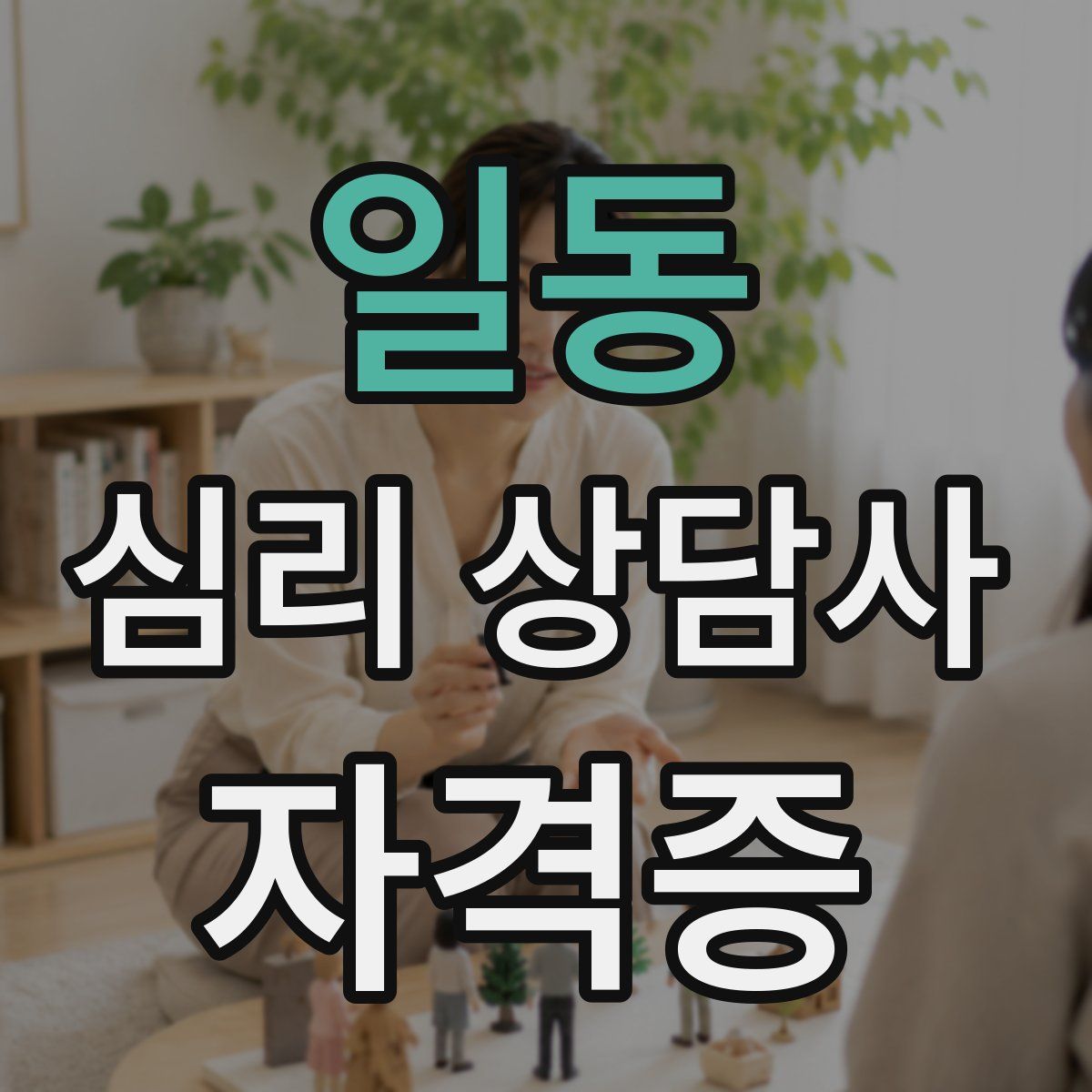 일동 심리 상담사 자격증
