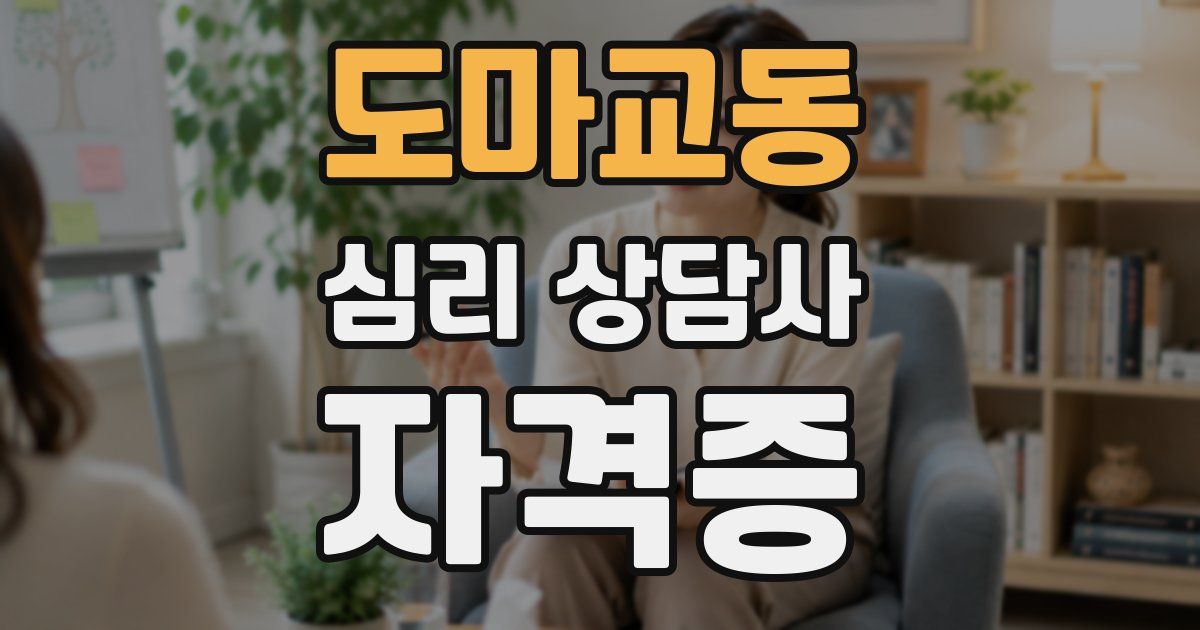 도마교동 심리 상담사 자격증