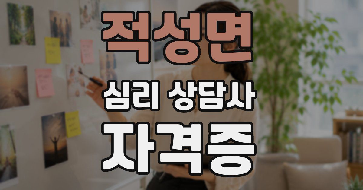 적성면 심리 상담사 자격증